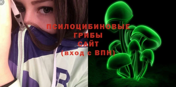 гидра Волоколамск