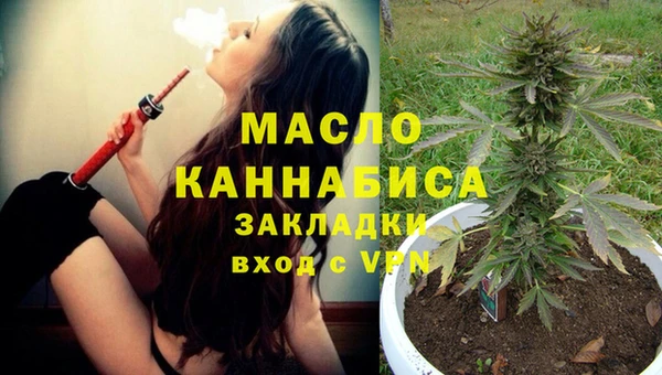 гидра Волоколамск