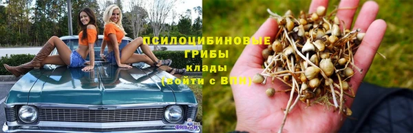 СК Волосово
