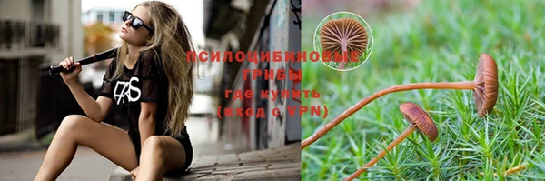гидра Волоколамск