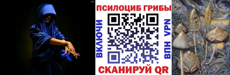 Купить  Красноперекопск  Псилоцибиновые грибы MAGIC MUSHROOMS 